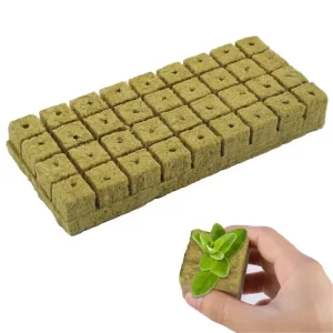 کاشت-گیاه-در-پشم-سنگ