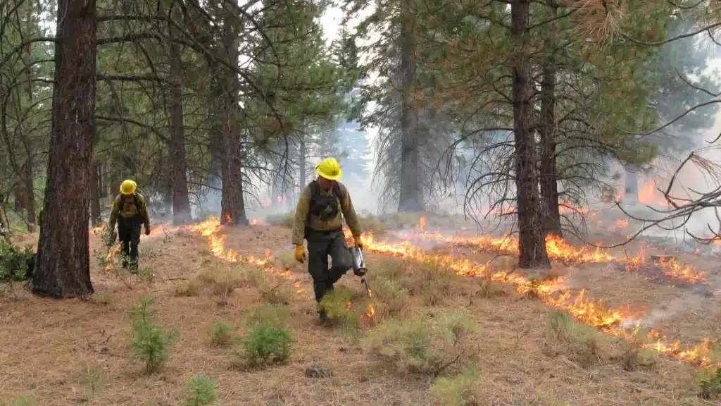 آتش-کنترل-شده