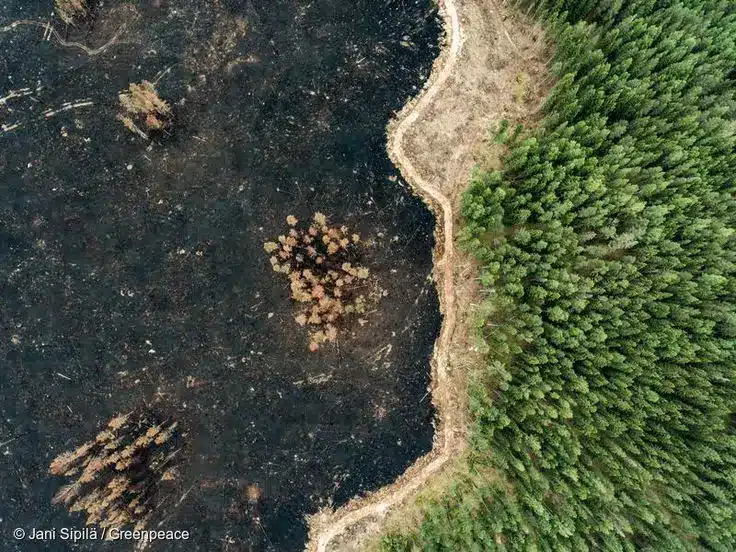 نابودی-جنگل