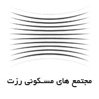 rozet